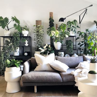 How To: Style Indoor Plants