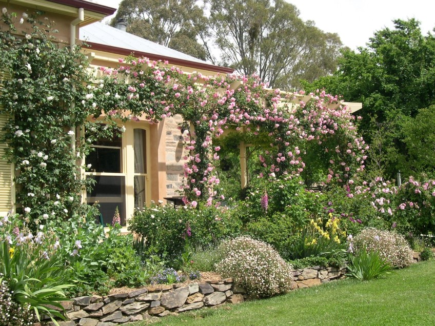 Australia's Best Rose Gardens