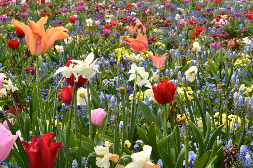 7 great ideas from Holland's Floriade